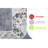 Area Rug, Collection Cream / Anthracite / Traditional Rug-730817011