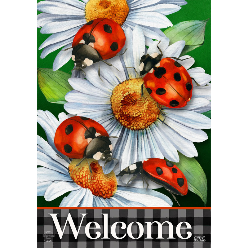 Drapeau de jardin coccinelles et marguerites