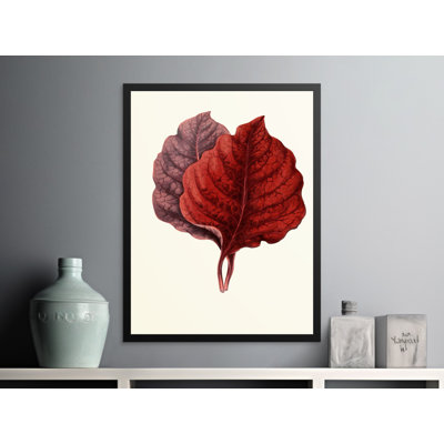 Tryphena 1 Piece Wall Art