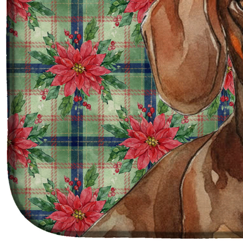 Tapis de séchage pour le chocolat et le teckel