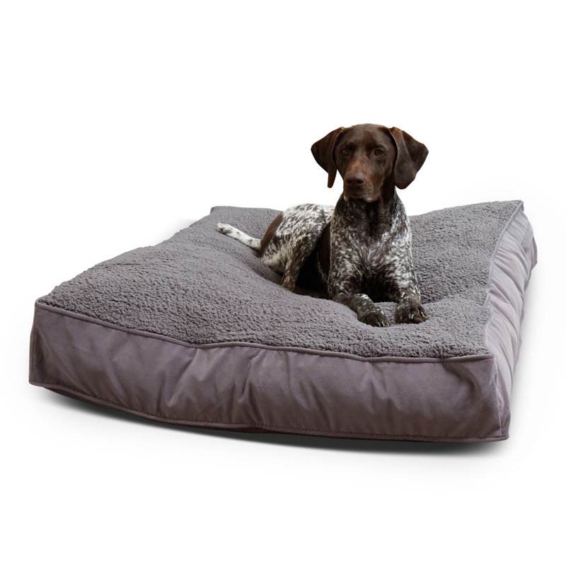 Lit pour chien Olivarez Classic, Grand (L 48 po x l 36 po x H 6 po), Gris