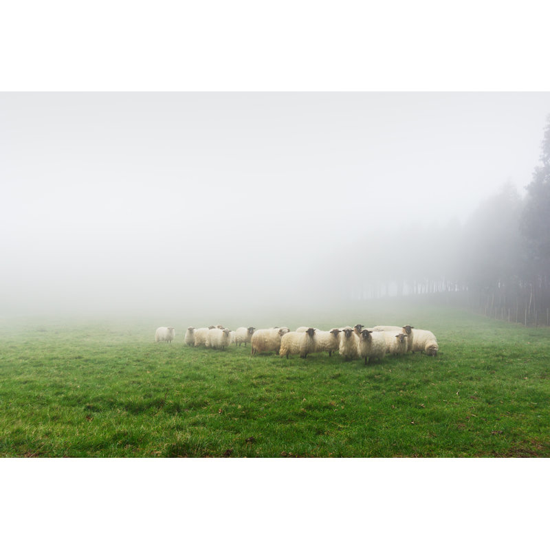 " Flock Of Sheep " by Mimadeo, 12" H x 8" W