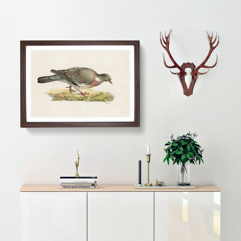Common Wood Pigeon by Von Wright - Picture Frame Painting Print on MDF, Walnut Framed, 48cm H x 65cm W x 2cm D