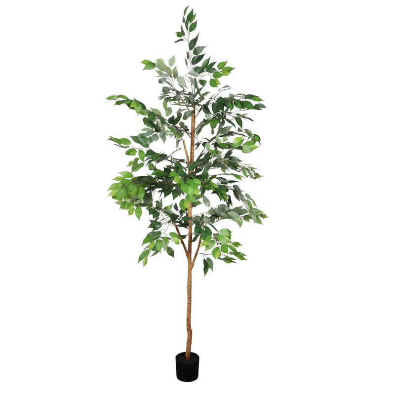 Ficus artificiel 6 pi avec tronc de bois véritable naturel