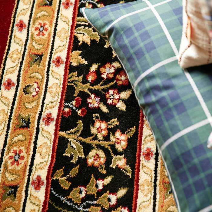 Klose Performance Oriental Rug