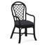 Trellis Dining Arm Chair-43362628-61940722