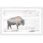 Parvez Taj - Single Picture Frame Print-19701031