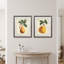 Simple Pears - ensemble de 2 reproductions encadrées sur papier