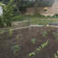 Support de plante galvanisé Bowermaster-27157358-27157352