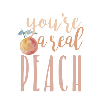Peach Life II 1 Piece Wrapped Canvas Painting
