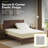 Luxurious Classic Soft Solid 1800 Series Microfiber Sheet Set, Various Colors and Sizes-533257276-432788895
