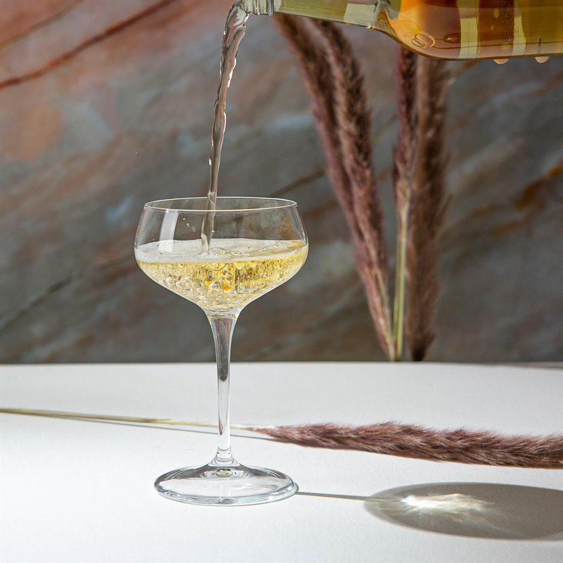 Bartender Novecento Cocktail Glasses - 250ml, 12