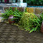 Carreaux de terrasse en bois d'acacia à motif de carreaux imbriqués, 30 PCS 12 po x 12 po, plancher de bois franc d'acacia pour terrasse, banc, côté piscine-114239418