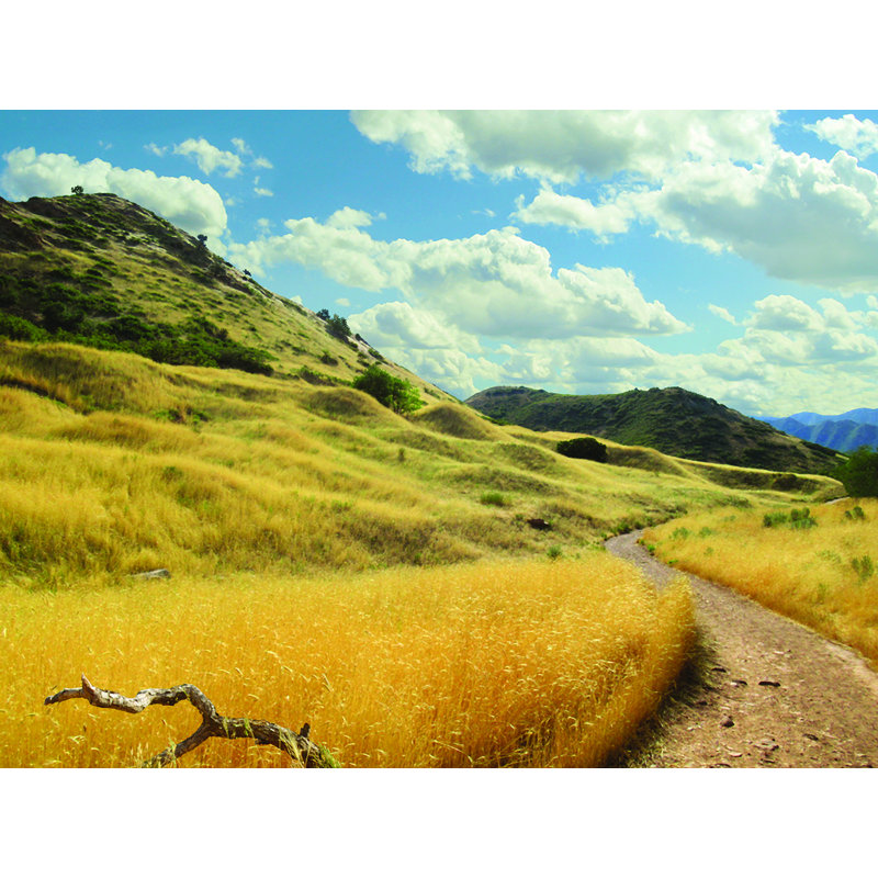 Glorious Grasslands par Alan Giana - reproduction de photo, H 12 po x l 16 po x P 0,15 po, Unframed, Pas de tapis
