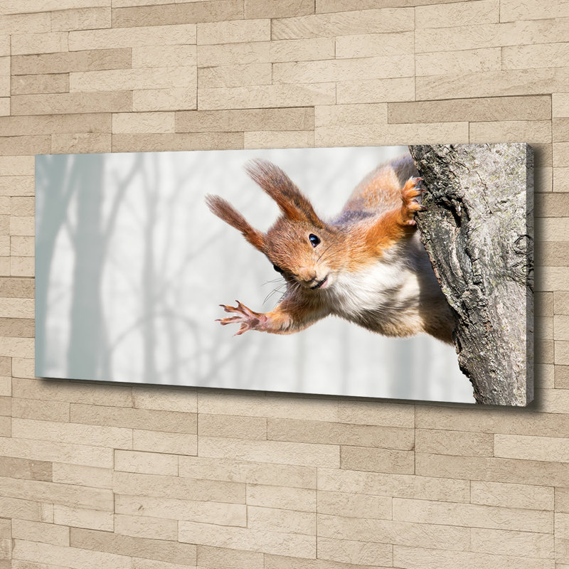 Squirrel - No Frame Print on Glass, Canvas, 50cm H x 125cm W x 2cm D