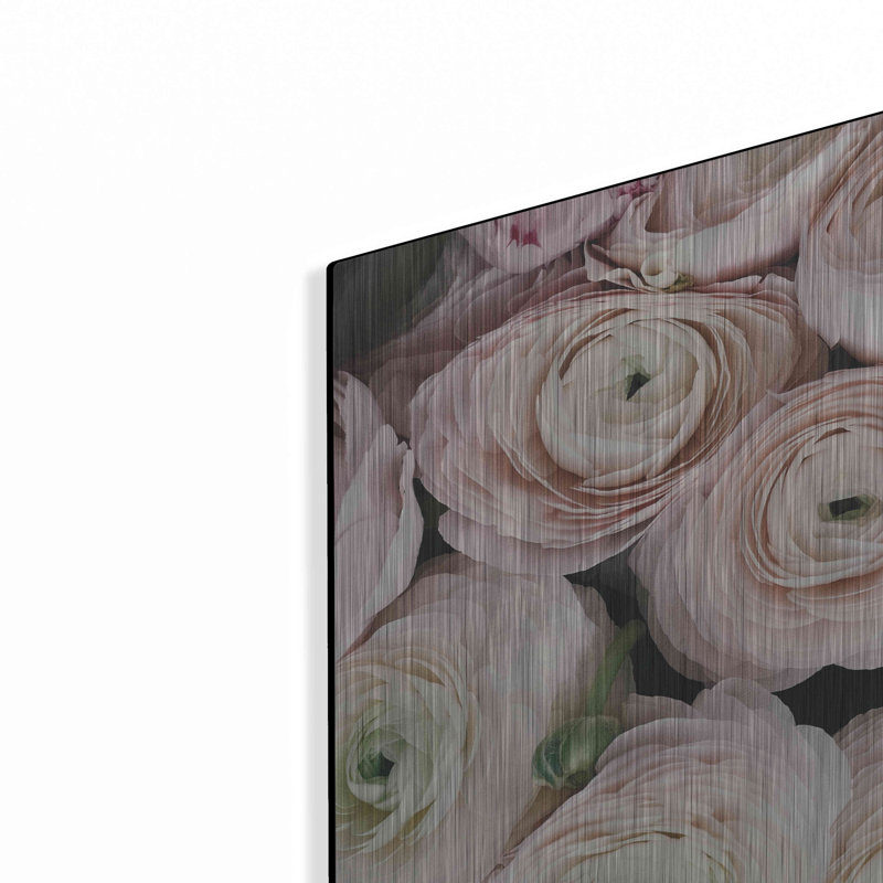 Art mural en métal luxueux «Soft Pink Ranunculus» par Susan Ball, 36 po x 24 po, H 12 po x l 16 po