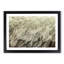 Feathers - Picture Frame Graphic Art Print-55730984-55730986