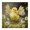 «Free As A Peep Chick Canvas», conception de Tina LeCour
