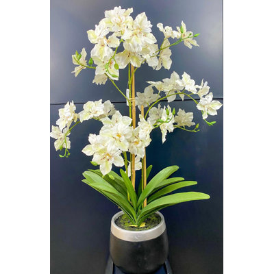 Orchidée 30 po en résine