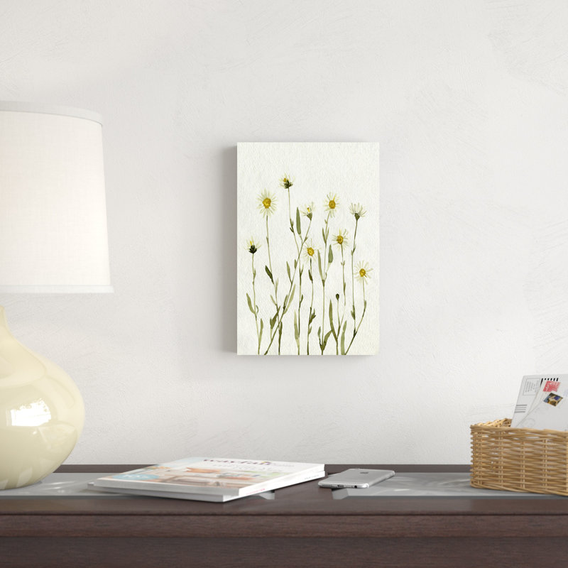 Marguerites blanches antiques II, H 12 po x l 8 po