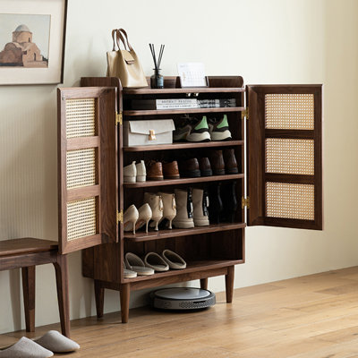 Populaire armoire à chaussures de rangement rétro