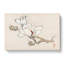 White Magnolia by Kono Bairei - Wrapped Canvas-55301219