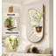 Décoration murale plante zen de style grès hydroponique-946432206-946432207