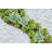 Landscape & Nature Vase Filler-48897051