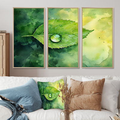 Green Water Droplet On Leaf II - Leaves Wall Art - Set Of 3