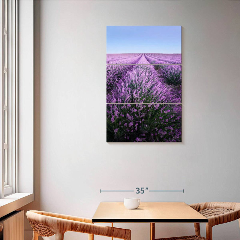 Lavande française Alvord Provence