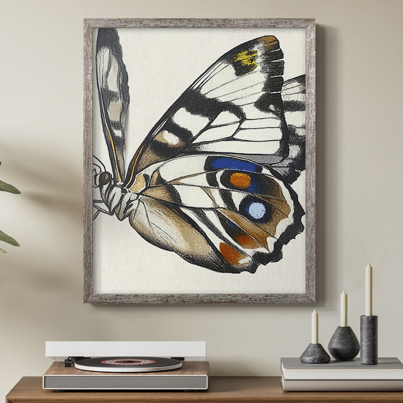 ANIMALS Series CECL III, reproduction encadrée - bois massif, H 30 po x l 24 po