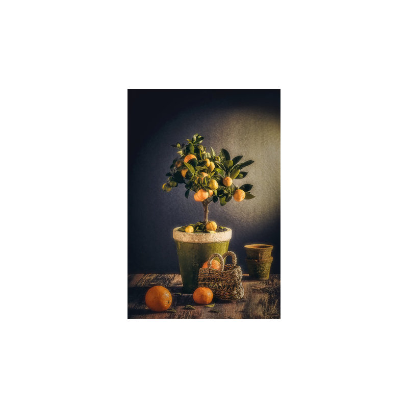 Wrapped Canvas Print, 91.44 cm H x 60.96 cm W