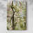 Spring Diptych II -Gallery Wrapped Cavas-2125187569