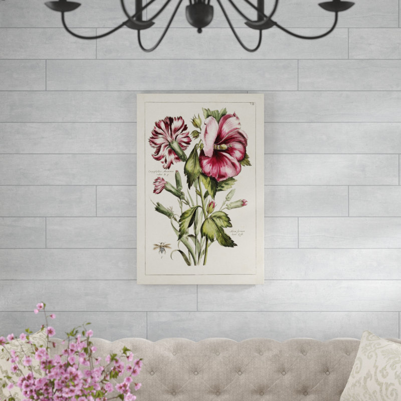 Pink Hibiscus - Print on Canvas, 91cm H x 61cm W, Wrapped Canvas