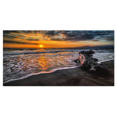 " Log On Beach During Sunset "