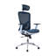Fauteuil président ergonomique Ambarvale