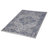 Oriental Indoor / Outdoor Rug-2091103222