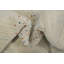 Tapis tribal Gabbeh 12 x 12