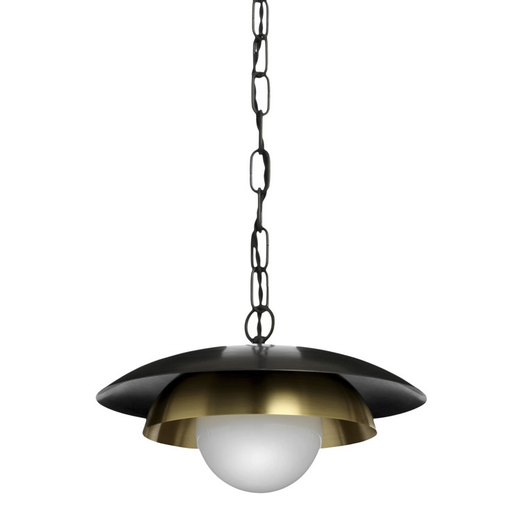 Carapace 1 - Light Pendant