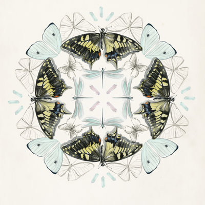 Butterfly Mandala I 1 Piece Wrapped Canvas Painting