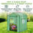 6x6 Portable Pop Up Greenhouse, Walk-In Outdoor Garden Plant Greenhouse-125964751
