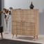 Brito 4 -Door Accent Chest