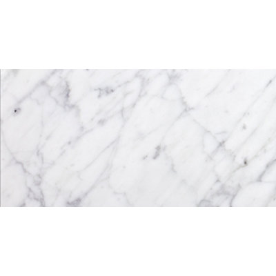 Carrara 24" x 24" Marble Wall & Floor Subway Tile