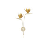 Paradiso 2 - Light Wallchiere