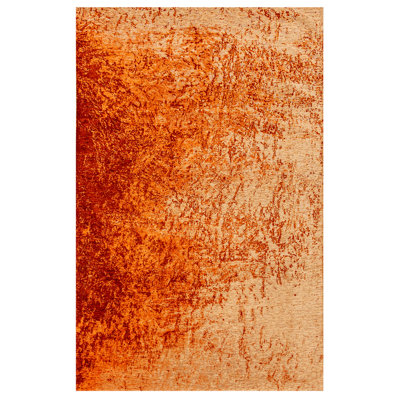 Steyning Recycled P.E.T Area Rug