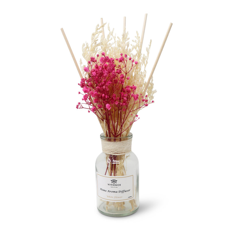 Chalisse Plant / Floral Diffuser