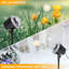 Indoor / Outdoor Projection & Strobe Lights