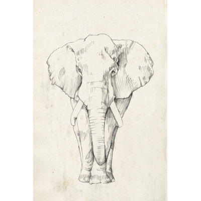Elephant Portrait I by Jennifer Goldberger - Wrapped Canvas Painting