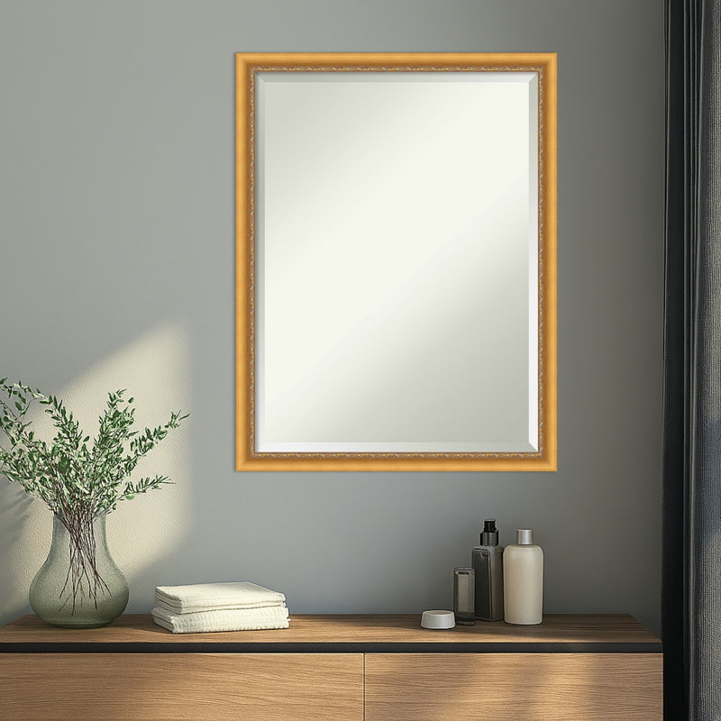 Miroir mural Owen, 20 in. W x 26 in. H