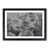 Black Framed selected